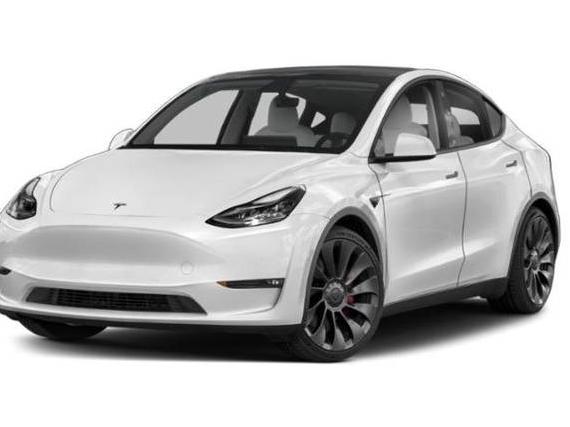 TESLA MODEL Y 2022 7SAYGDEF3NF369479 image